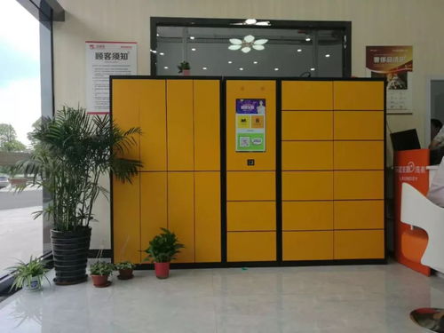 80后女企業家的鈑金“神器”之路 創新與堅守的桐鄉傳奇